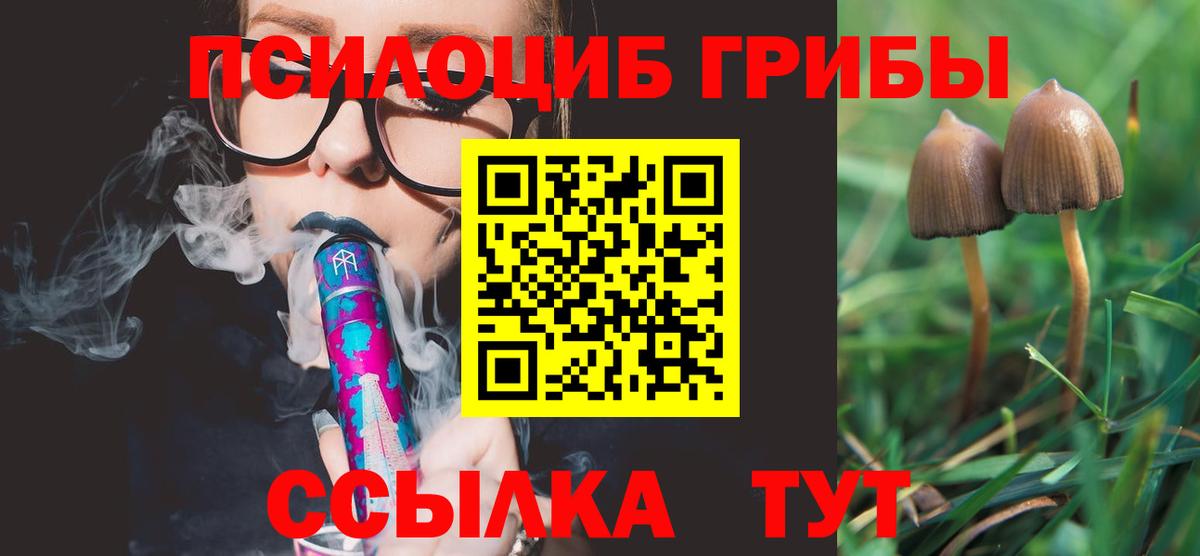 Надым  Галлюциногенные грибы Psilocybe  где найти   Вход с VPN 