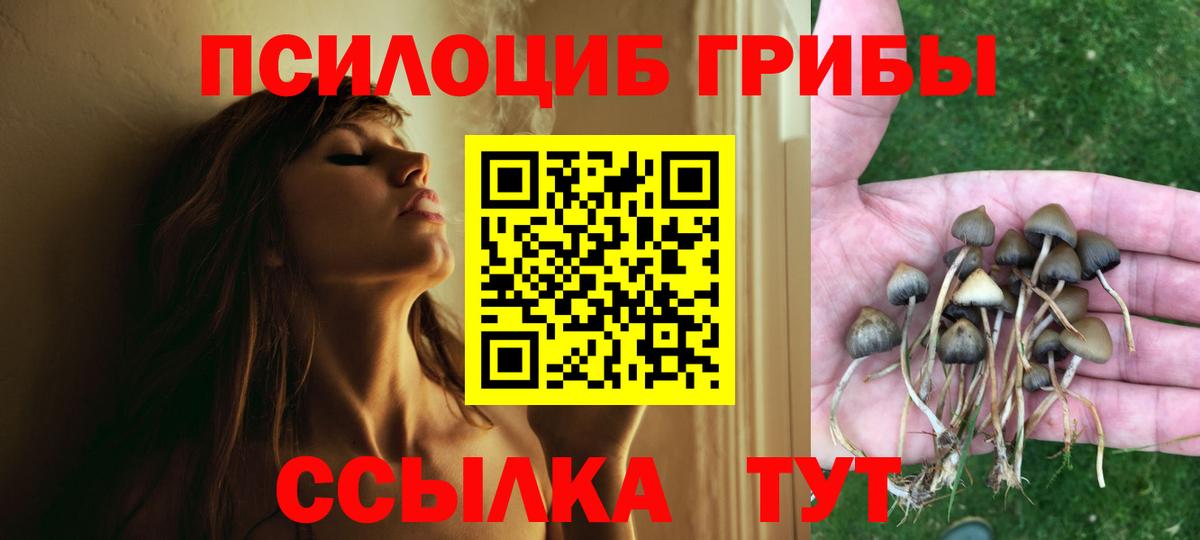 Псилоцибиновые грибы мицелий Надым